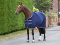 SHIRES TEMPEST ORIGINAL FLEECE RUG